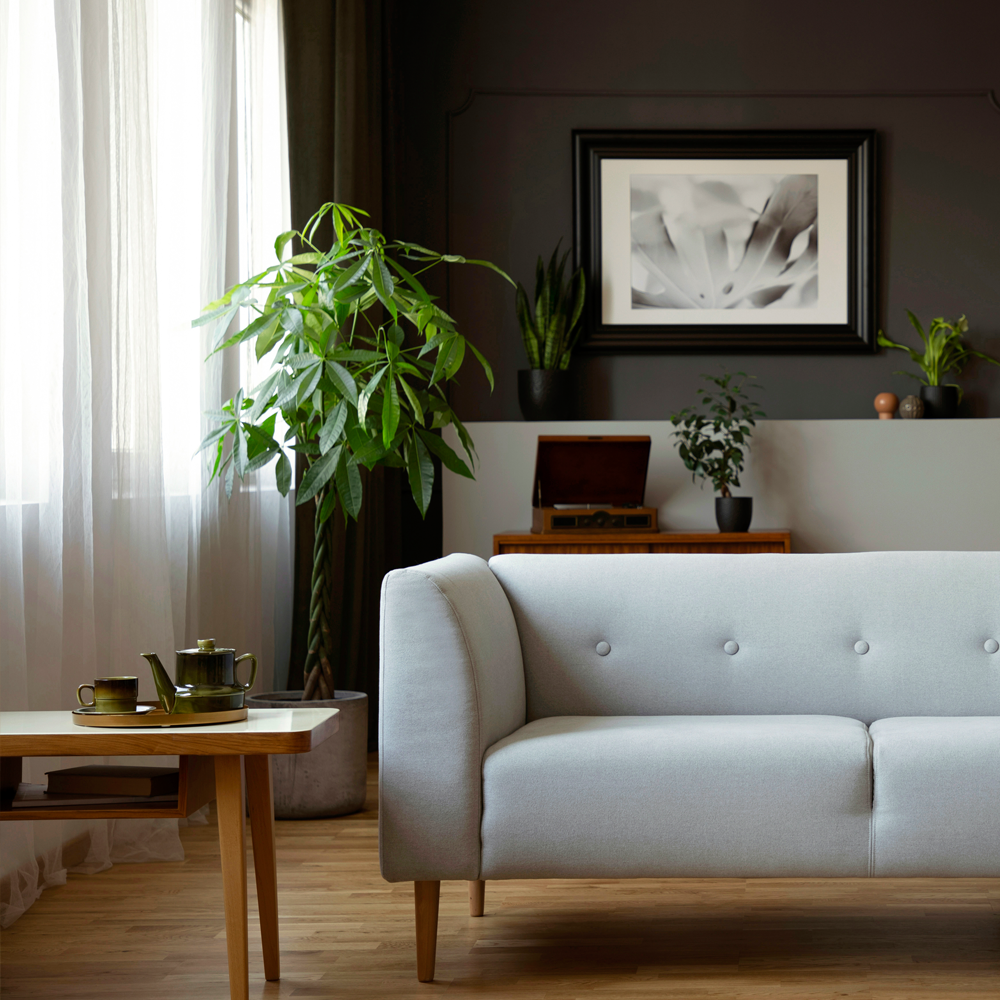 Superior &Pi;&alpha;&kappa;έ&tau;&omicron;